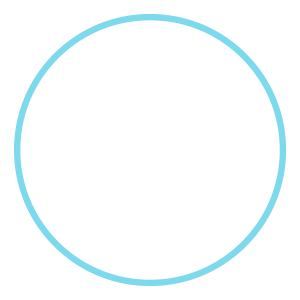 Detective Society Logo White and Blue