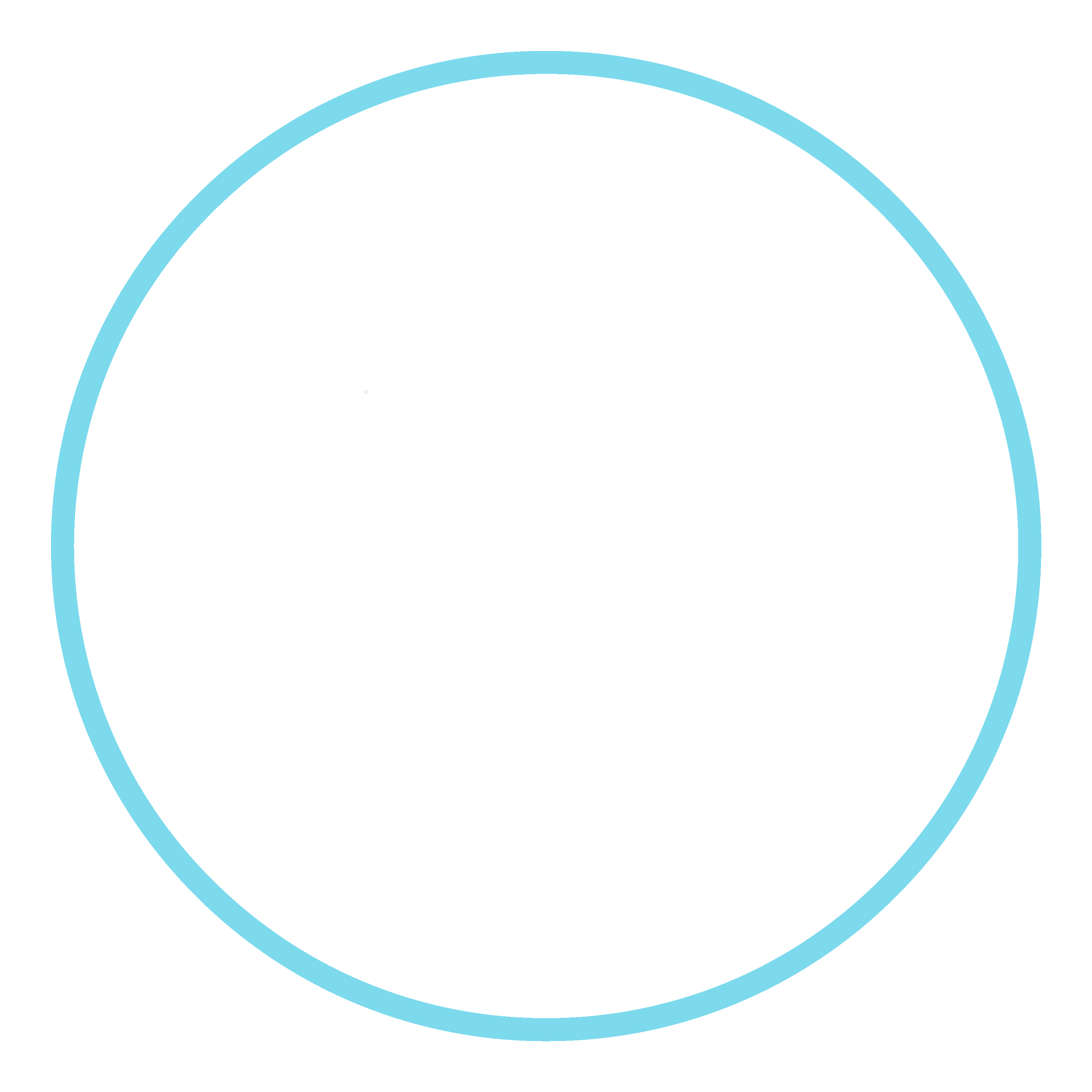 Detective Society Logo White and Blue
